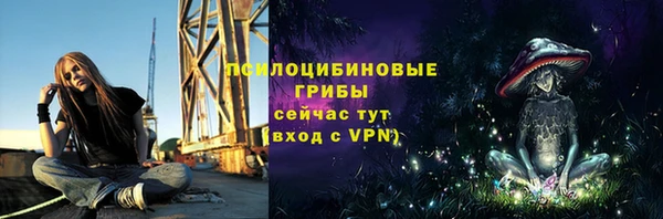 дурь Переславль-Залесский